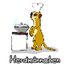 Herdmännchen