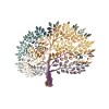 tree of Life