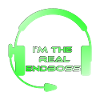 Endboss Neon Gaming Headset
