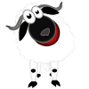 Quinn the laughing sheep