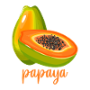 Papaya lover vegan summer fruit