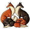 foxes