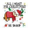 Faultier mit Weihnachtspullover