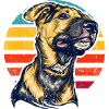 Sunset Hound Portrait