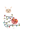 alpaca
