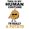 Potato Halloween costume Meme gift