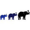 elephant family