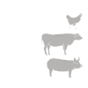 Freinds, not food