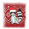 Raccoon Christmas