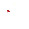 Joyeux noël