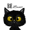 Blackcat