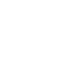 Foxterrier Evolution Drahthaar-Foxterrier Geschenk