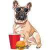 French bulldog