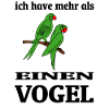 Budgie Wellensittich