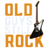 Guitar guitar player guitarist