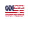 Fléchettes USA