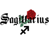 Sagittarius Zodiac Rose