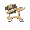 pug