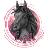 Horse stars sparkle