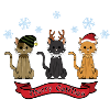 Merry Cat Christmas!