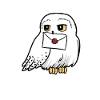 Harry Potter Hedwig Letter