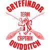 Harry Potter Gryffindor Team Captain Quidditch