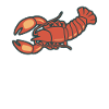 lobster