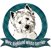 West Highland white terrier
