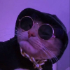 Cool Cat / Cool Cat