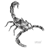 Geometric Scorpion
