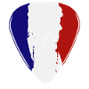 France Guitar Pick Flag Guitarist