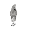Pferd Spruch Stall Spaß