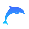Delfin Dolphin
