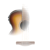 Guitar | Acoustics / Acoustic Guitar