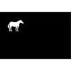 Pferd