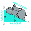 Hippotenuse math math math teacher joke fun