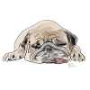 Pug Mops Wauwau