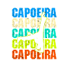 Capoeira brazil martial art