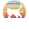 Aventure Cat Sunset