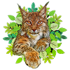 Lynx chat Liberté