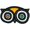 Owls eyes