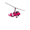 Gyrocopter 1649