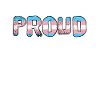 PROUD trans flag LGBTQ