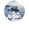 Orca Love Wild Soul