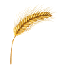 Ehrenmann Ähre witzig Geschenkidee