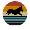 Corgi