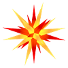 poinsettia yellow-red 1
