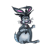 Rabbit singer