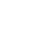 Fuchs mit Sternen - Astronomie Spruch