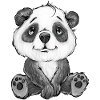 panda